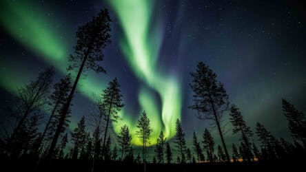 Descubra a aurora boreal em um passeio fotográfico